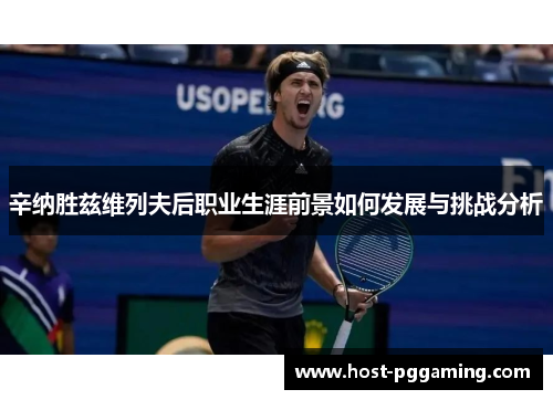 辛纳胜兹维列夫后职业生涯前景如何发展与挑战分析 辛纳胜兹维列夫后职业生涯前景如何发展与挑战分析
