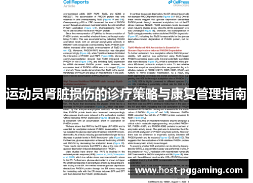 运动员肾脏损伤的诊疗策略与康复管理指南 运动员肾脏损伤的诊疗策略与康复管理指南