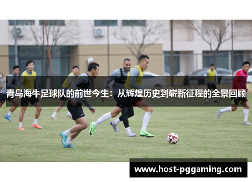 青岛海牛足球队的前世今生：从辉煌历史到崭新征程的全景回顾
